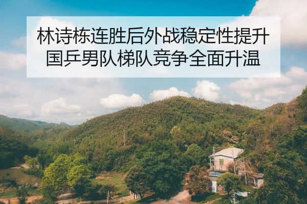 林诗栋连胜后外战稳定性提升 国乒男队梯队竞争全面升温